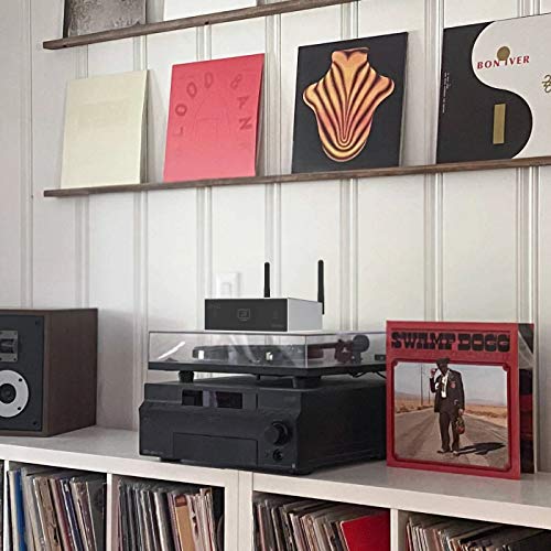 Arylic S50 Pro+ | Ricevitore audio WiFi e