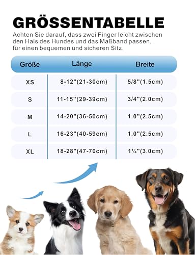 TagME Hundehalsband Personalisiert Mit Namen, Reflektierendes Hundehalsband Mit Weichem Silikon ID Namensschild, 4 Verstellbaren Größen Für kleine, Mittelgroße und Große Hunde, D-Ring Aus Stahl