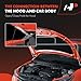 A-Premium Front Driver and Passenger Hood Hinges Compatible with Ford Mustang 2015 2016 2017, Front Left and Right Side, 2-PC Set, Replace# FR3Z16796C, FR3Z16797C
