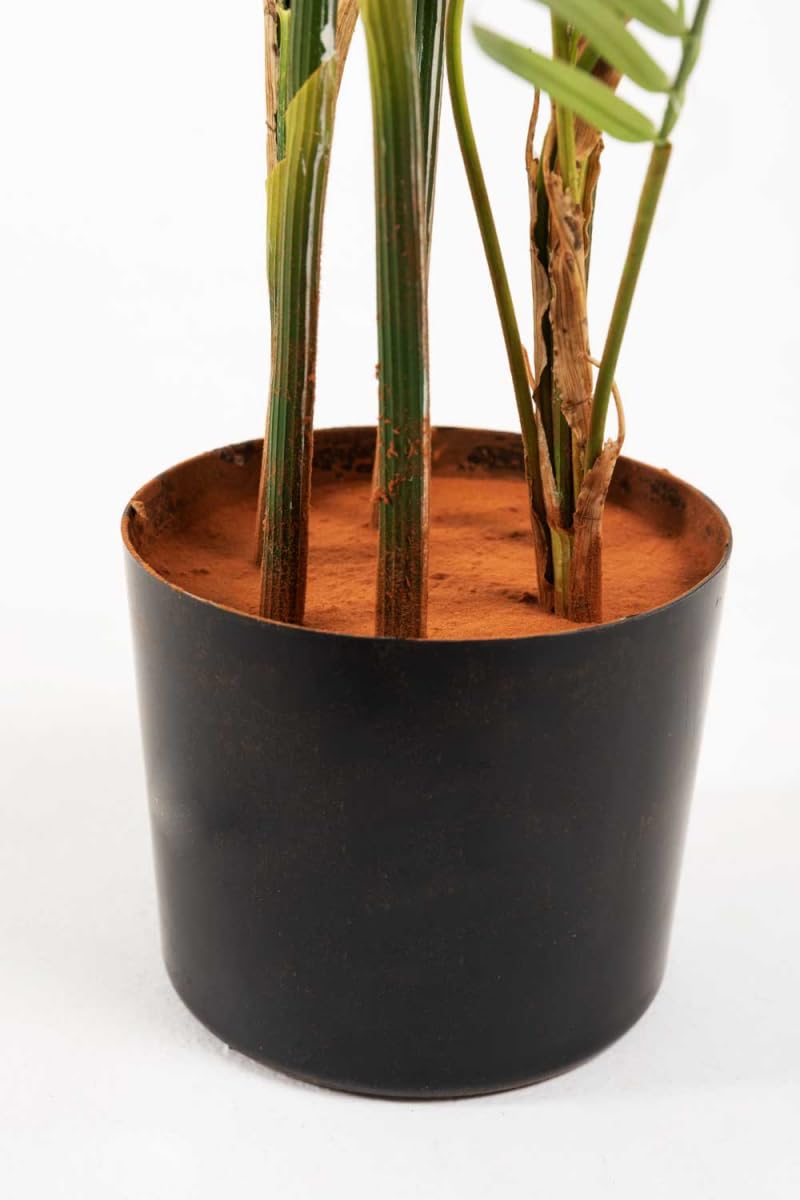 Regalos Miguel - Figuras Decorativas - Planta Artificial Palmera Helechosa - 130