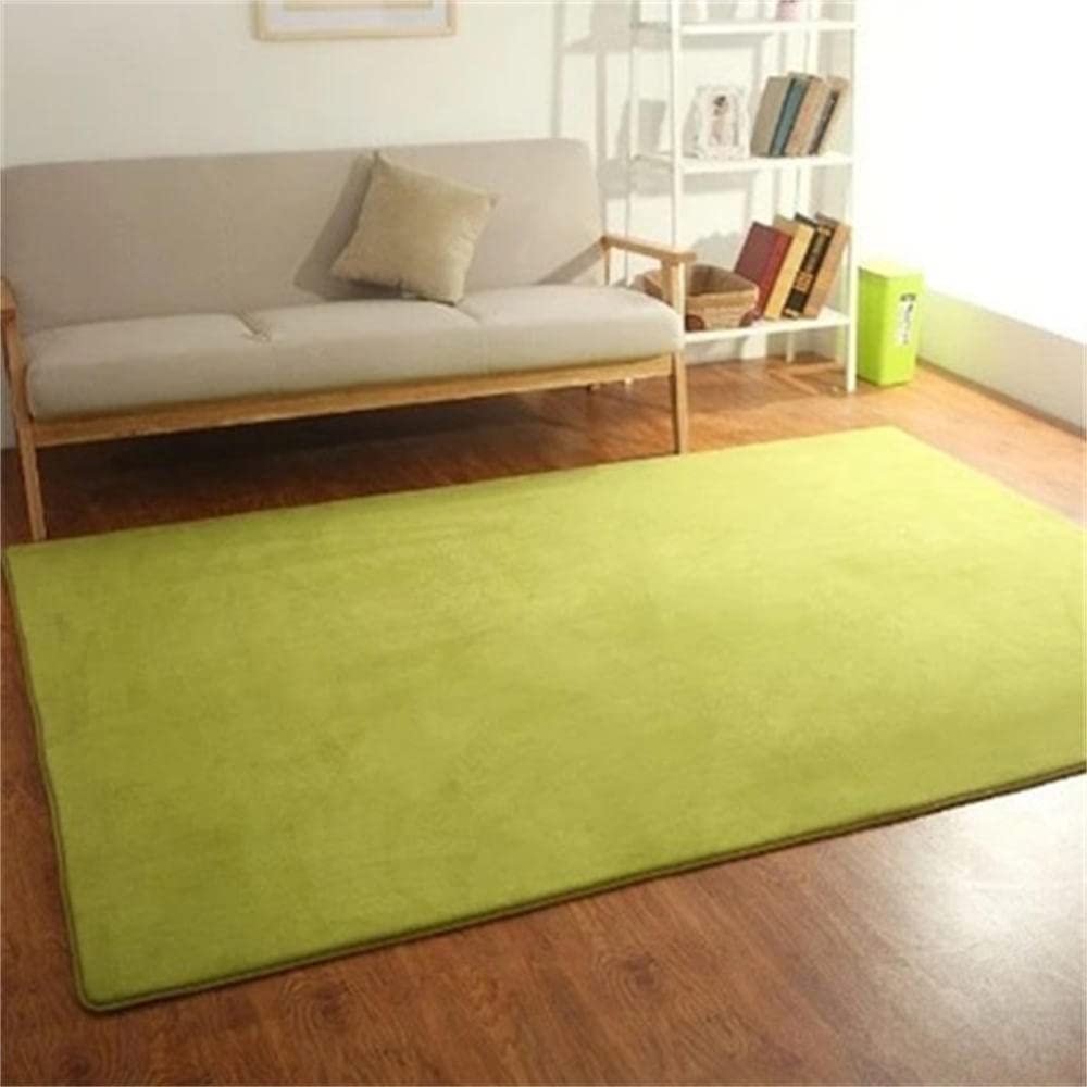 Tapis de chambre doux DASHADAO vert shaggy pour un salon cocooning
