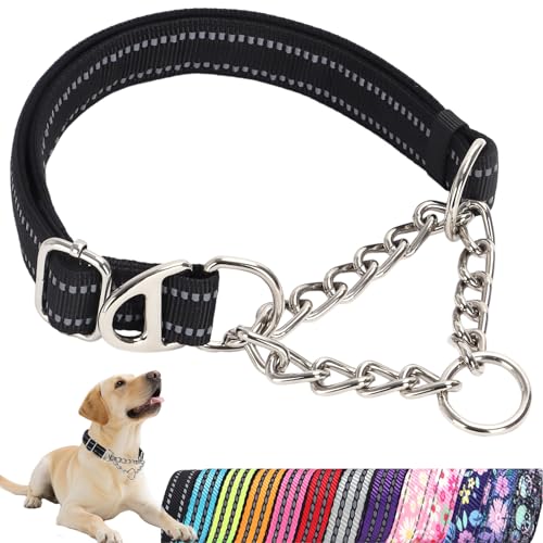 Martingale Collar for Dogs with Chain Heavy Duty Dog Collar for Medium Dogs
