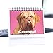 Funny Dog Desk Signs for Office | Ideal Gifts for Dog Lovers | Funny Office Accessories, Desk Gifts & Decor | Perfect for Secretary, Coworker & Home