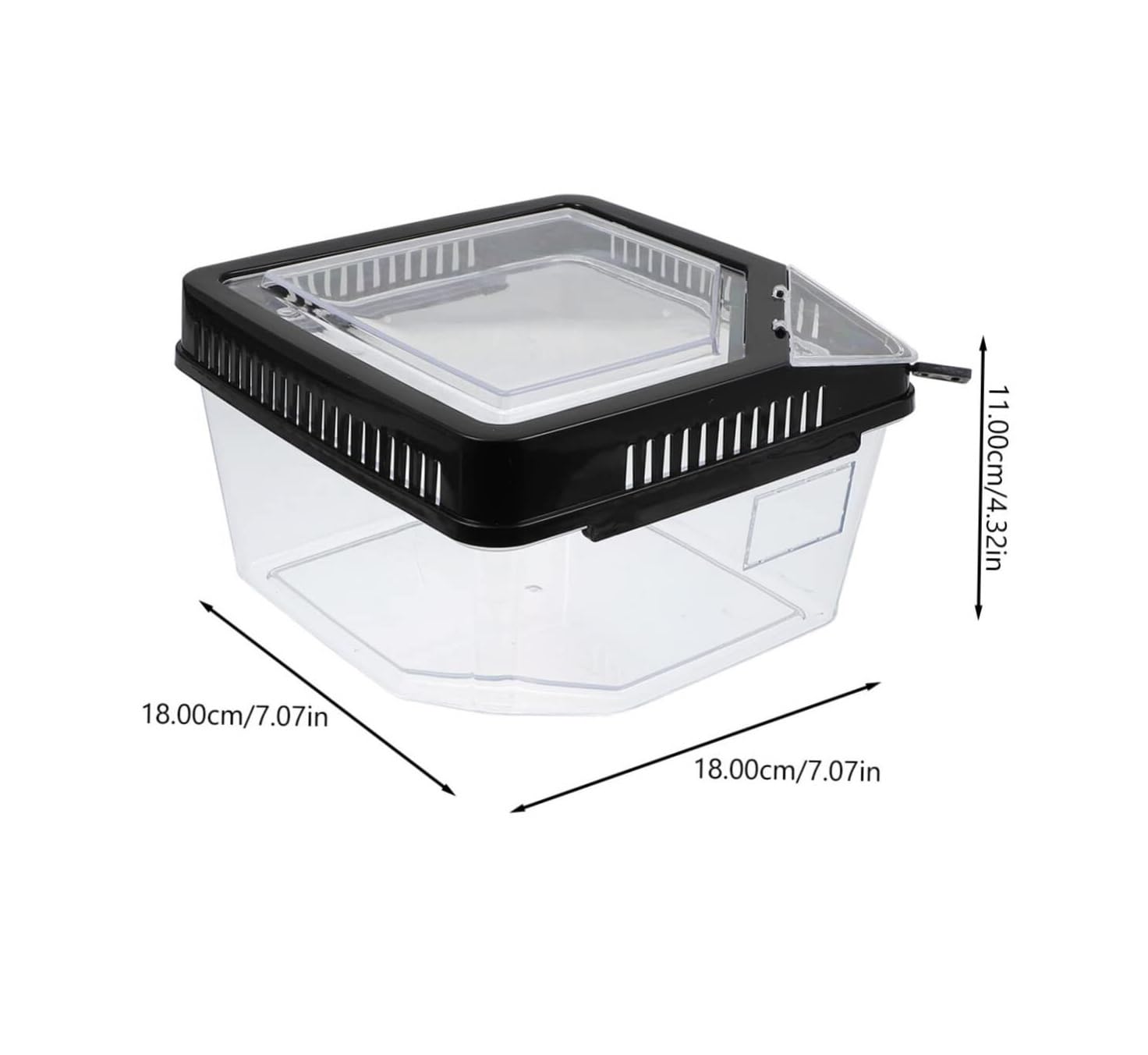 Caja de alimentación plástico for Reptiles
