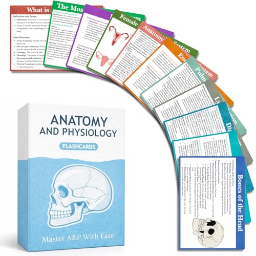 Anatomy and Physiology Flashcards - Double-Sided