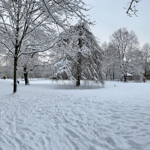 #55 Genug Licht f&uuml;r diesen Winter