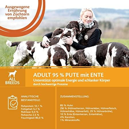 Wellness Core Hundefutter mit 95 % Huhn und Ente