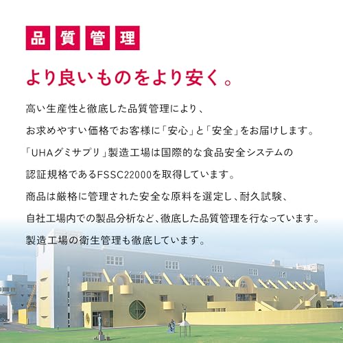 UHA味覚糖 UHA グミサプリ 鉄 20日分 40粒 の商品画像 6