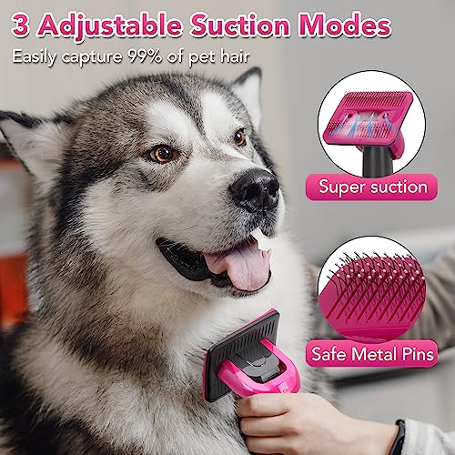7 in 1 Pet Grooming Vacuum Kits, Dog Hair Remover Grooming with Clippers Nail Trimmer Grinder & Brush for Shedding, Low Noise Suction 99% Pet Hair with 7 Pet Grooming Tools & Storage Bag 7 in 1 Pet Grooming Vacuum Kits, Dog Hair Remover Grooming with Clippers Nail Trimmer Grinder & Brush for Shedding, Low Noise Suction 99% Pet Hair with 7 Pet Grooming Tools & Storage Bag