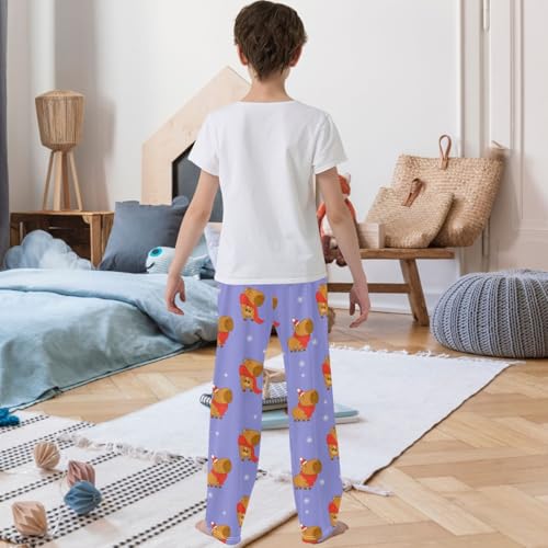 Boy's Pants Capybara Knitted Scarf Jogger Pants Elastic Waist Long Bottoms Trousers with Pockets 6-14 Years3