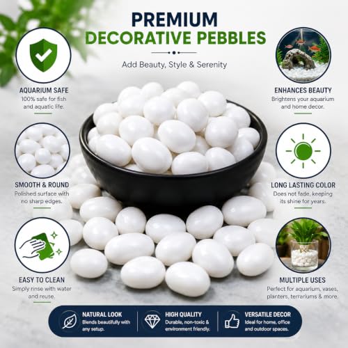 Image of Bindian Decorative Pebble Stone, Multicolour, Natural Stone, Smooth & Polished, for Aquarium, Garden, Plant Pot, Fountain Decor (2 Kg, White)
