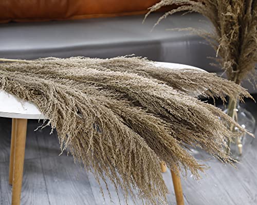 9-Stems-Pampas-Grass-Decor-Tall-484-FT-Long-Fluffy-Dried-Pompas-Grass-Large-Pampas-Grass-for-Floor-Vase-Rustic-Wedding-Baby-Shower-Party-Farmhouse-Boho-Home-Decor