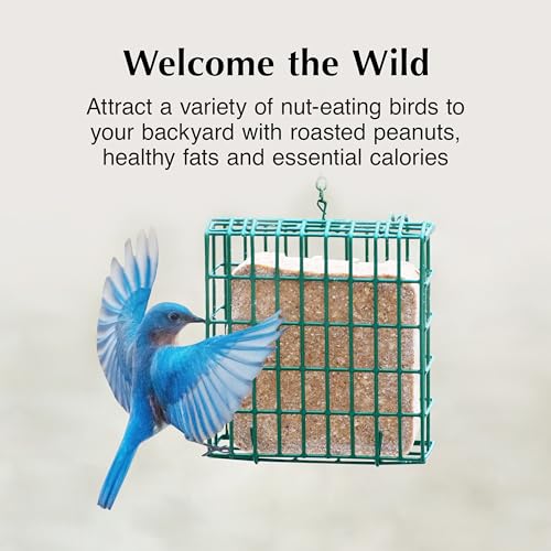 Image of C&S Peanut Butter Delight No Melt Suet Dough, Suet Cakes for Wild Birds Including Wrens, Woodpeckers, Cardinals, Songbirds, Jays and More, 8 Pack
