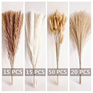 100 pcs small boho pampas grass 17 naturally dried pompas pampas grass decor for wedding boho party decorations table decorbrown and white  urban country home decor