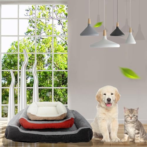 ybgxbh L  ӂӂ  킢  g ~ p 􂦂 ybgNbV ybgnEX ybg\t@[ [΍ ~΍ ʔN J[L[ 65*60*20cm