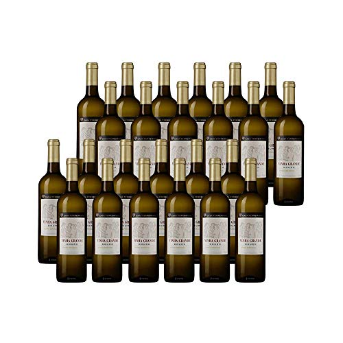 Vinho Branco Vinha Grande: Paquete de 24 Botellas de Sabor Excepcional Vinho Branco Vinha Grande: Paquete de 24 Botellas de Sabor Excepcional
