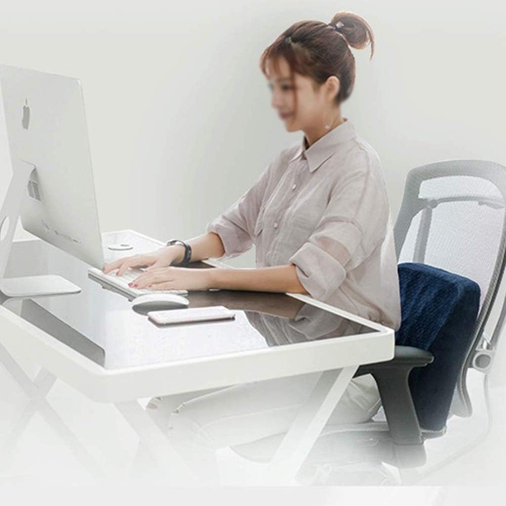 Lumbar Pillow - Memory Foam Lumbar Support Pillow Travel Back Cushion Portable with Seat Pad, Back Office Soft Rest Protector(D)