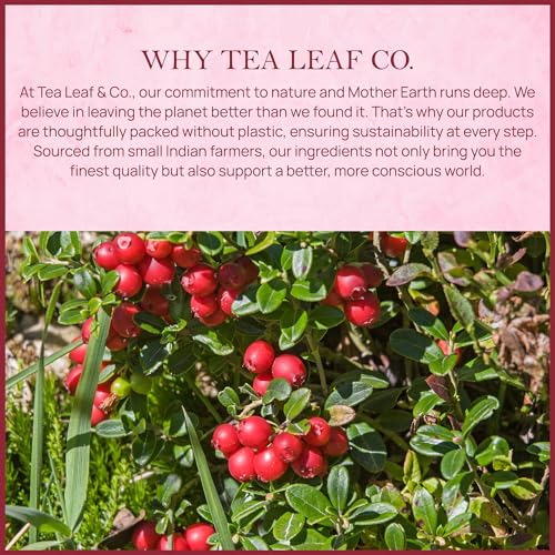 Image of Tealeaf & Co. Cranberry Orange Black Tea Bags Blended with Fresh Herbs and Spices - Organic Black Tea Bags with Orange Peel, Star Anise & Hibiscus - Low Caffeine - Gluten Free - 50 Teabags