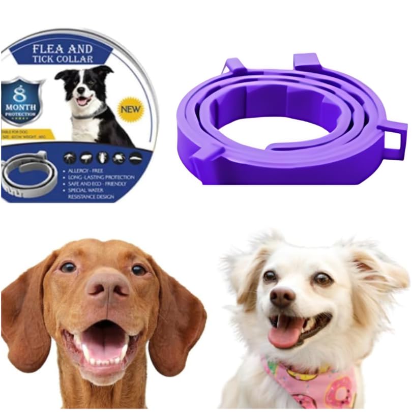Collar Antiparasitario para Perros Protección contra Pulgas, Garrapatas y Leishmaniosis, 8 Meses de Duración, Seguro, Sin BPA, para Perros Pequeños y Grandes (Morado)