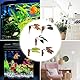Betta Fish Leaf Pad, Plastikpflanze Betta Hammock Leaf Bed, Simulation des natürlichen Lebensraums für Betta Laichplätze, Saugnapf Betta Breeding Resting Bed Aquarium Décor Plants Aquarien und Zubehör
