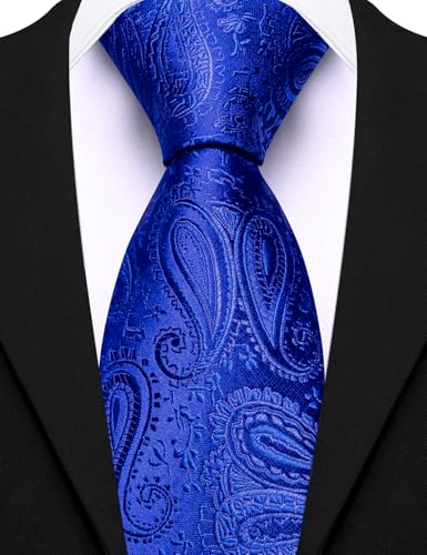 Image of Barry.Wang Paisley Tie for Men Silk Woven Necktie and Tie Clip Set Wedding Party Business Formal