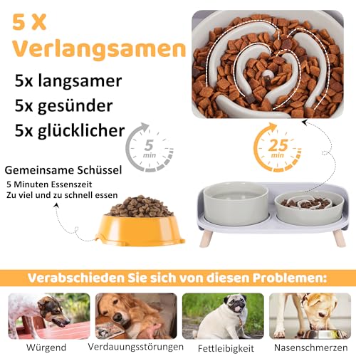 Antischlingnapf Hundnapf Erhöht Keramik Napfset - Doppel-Fressnapf für langsames Fressen - Futternapf & Wassernapf mit rutschfestem Kunststoff-Ständer - Für kleine und mittelgroße Hunde