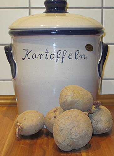 Kartoffeltopf Arktis