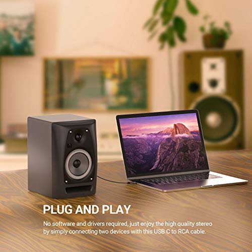 Cable USB C a RCA con conectores chapados en oro para máxima durabilidad acústica 2