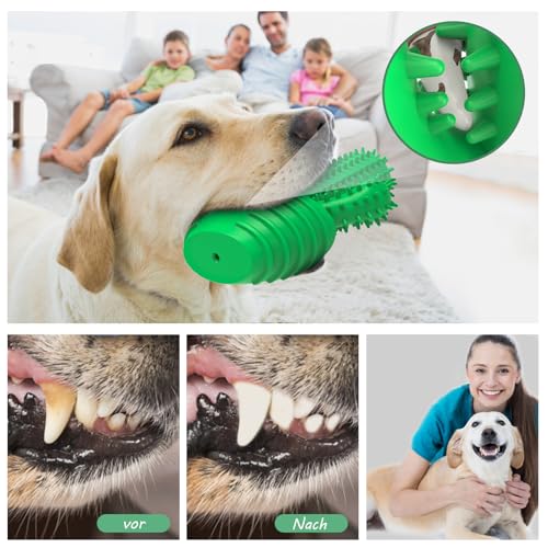 HETOO Hundespielzeug für Aggressives Kauen, Kauspielzeug Hund Fast Unzerstörbar, Quietschend Hunde Spielzeug Für Mittelgroße Hunde, Robuster Langlebig Gummi Dog Toys (Kaktus)