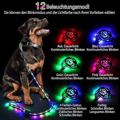 Aisuowa LED Hundeleine für Hunde, 12 Beleuchtungsmodi Reflektierend Leine Hund, 1,5 m, USB Aufladbar Leuchtend Wasserdicht Hundeleinen, Geeignet für Große, Mittelgroße und Kleine Haustiere Licht