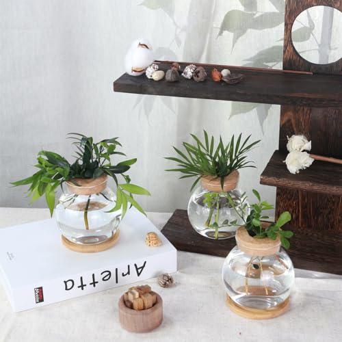 Aurfedes A-1044 Tabletop Plant Propagation Station,Aquatic Plant Culture Glass Mini Vase,With Wooden Dish,Gifts thumb #4