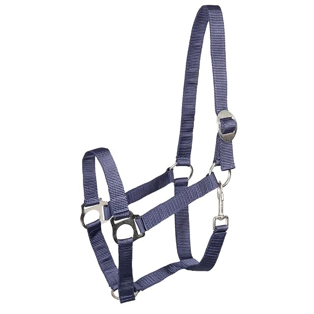 PFIFF 101668 Halfter, Kunststoffhalfter Pferdehalfter Stallhalfter Weidehalfter, Blau, COB