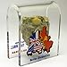 Original Piece of the Berlin Wall - Authentic Souvenir from the Real Wall in Germany Mounted in Acrylic Display (Small (2