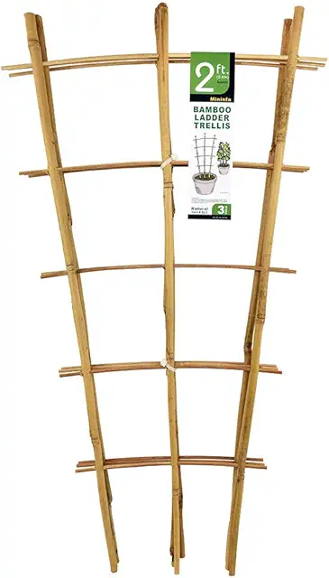 DIY Wood Trellis Garden