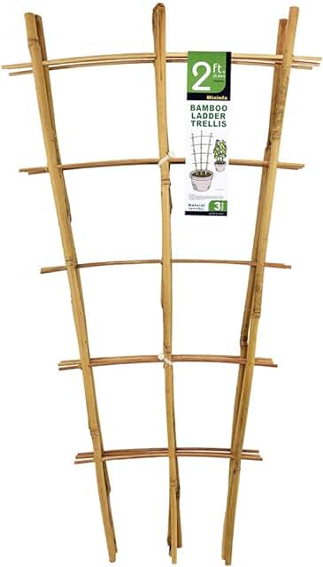 Natural Bamboo Trellis 24 Inches Tall, Mininfa Garden Ladder Trellis, Pl...