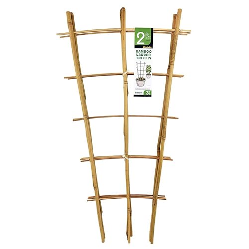 Natural Bamboo Trellis 24 Inches Tall, Mininfa Garden Ladder Trellis,