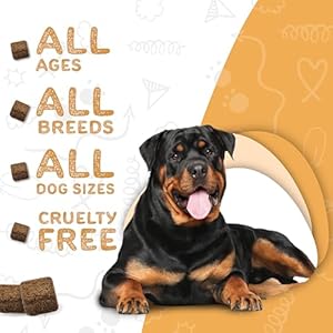 waggedy Omega Max Chews for Dogs with Salmon Oil & Flaxseed — Dog Essentials for Shiny Coats & Healthy Skin — Cat and Dog Supplements & Vitamins (60 Chews)