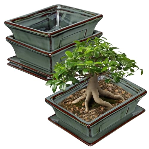 Juego de 2 macetas de cerámica para bonsái con plato y agujeros de drenaje para bonsái japoneses, decoración retro para juegos de recipientes de jardín al aire libre, diámetro apertura 16 cm