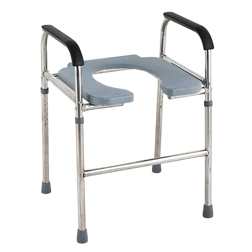 Buy LHZHG Portable Toilet Seat, Commode Chair, Height Adjustable