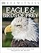DK Eyewitness Books: Eagle and Birds of Prey: Discover the World of Birds of Prey How They Grow, Fly, Live, and Hunt