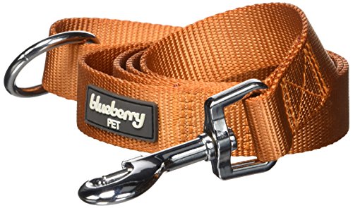 Blueberry Pet Better Basic Dog Lead in Orange