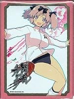 Algopix Similar Product 12 - Character Card Sleeves EX Series Senran