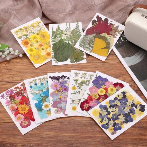 80 piezas de hojas secas prensadas para artesanía miniatura 4