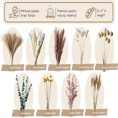Nature Pampas Grass Bouquet 90Pcs Mix Dried Flowers miniatura 2