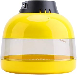 JF-XUAN Eggs Incubator Egg Incubator 10 Eggs Mini Digital Incubator for Chicken Goose Duck Poultry Hatcher with Egg Tray Temperature Control