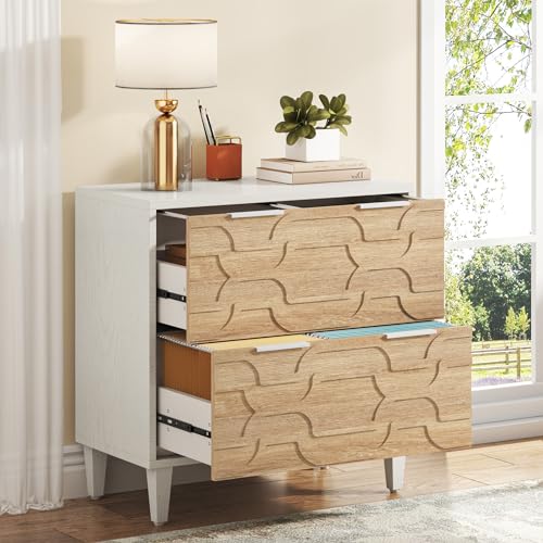 Tribesigns 2-Drawer File Cabinet, Lateral Filing Cabinet for A4/Letter/Legal Size, Office Storage...