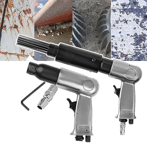 WhBeoy Raspador de Aguja de Aire 19 Agujas