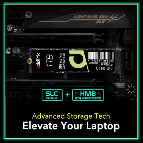 SSD interne S93 PCIe 4.0 NVMe M.2 2280 de 1 To avec cache SLC