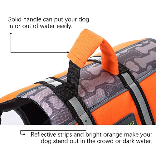 https://m.media-amazon.com/images/I/51NEPlLbXfL._SL500_.jpg