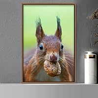 Framed Canvas Wall Art Squirrel Animals Fun Living Room Multicolor Photography Rustic Squirrel - 16x24 inches